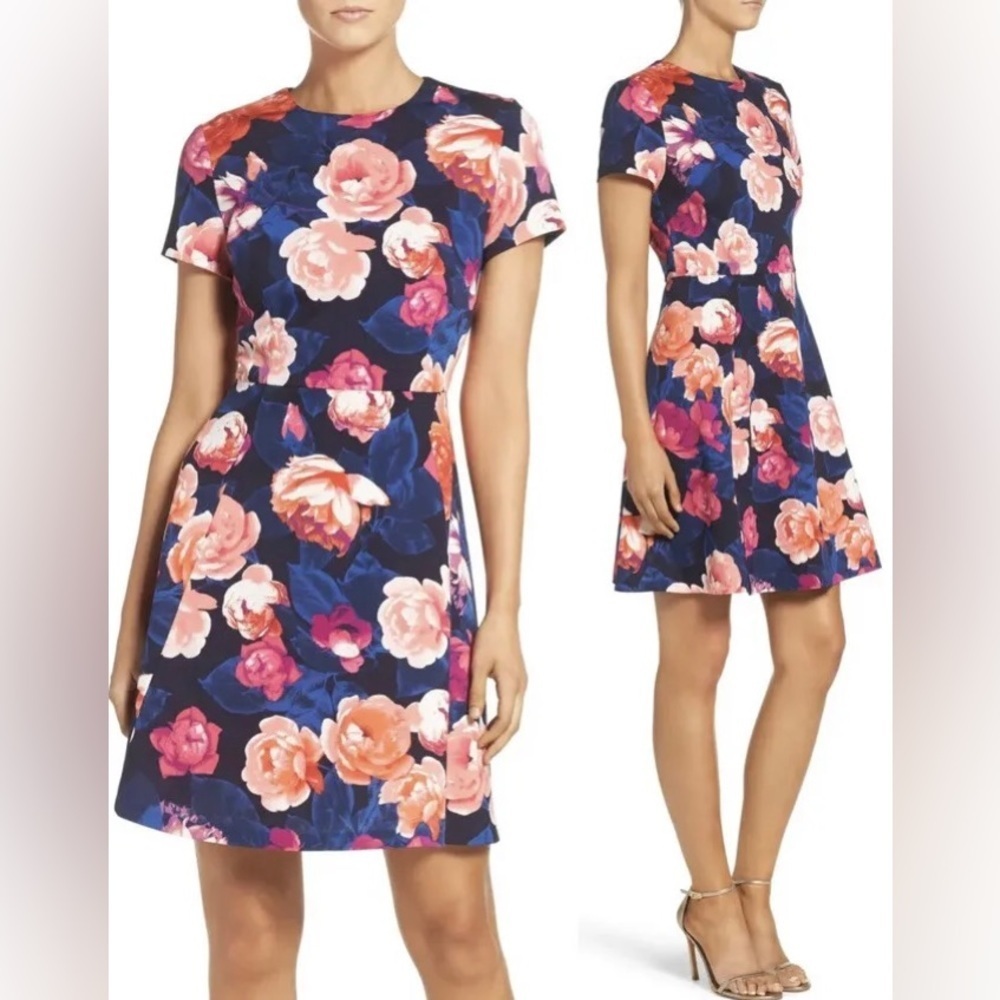 Eliza J Floral Ponte Fit & Flare Dress size 14